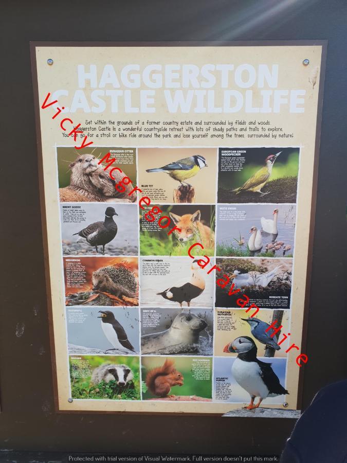 فندق Berwick Upon Tweedفي  Haggerston Castle Tower Lawn Hire المظهر الخارجي الصورة